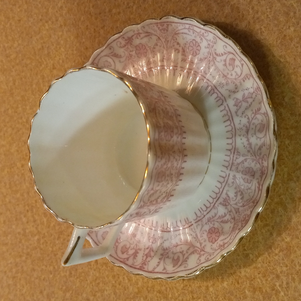 Chapman Bone China Cup and Saucer